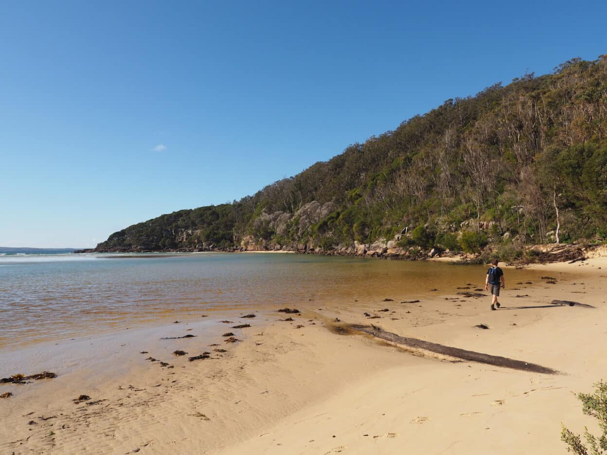 Merrica River Nature Trail, New South Wales