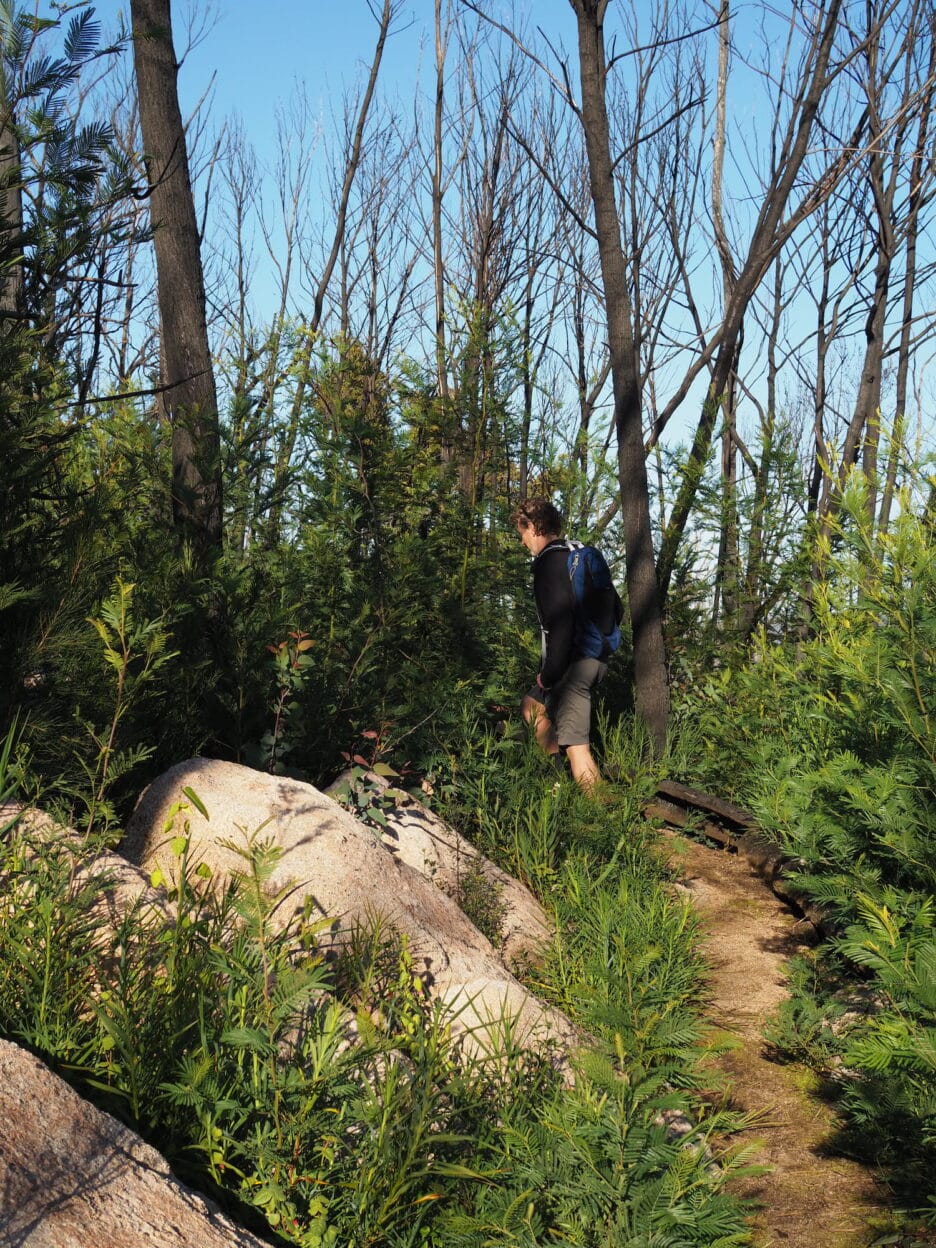 Genoa Peak, Victoria