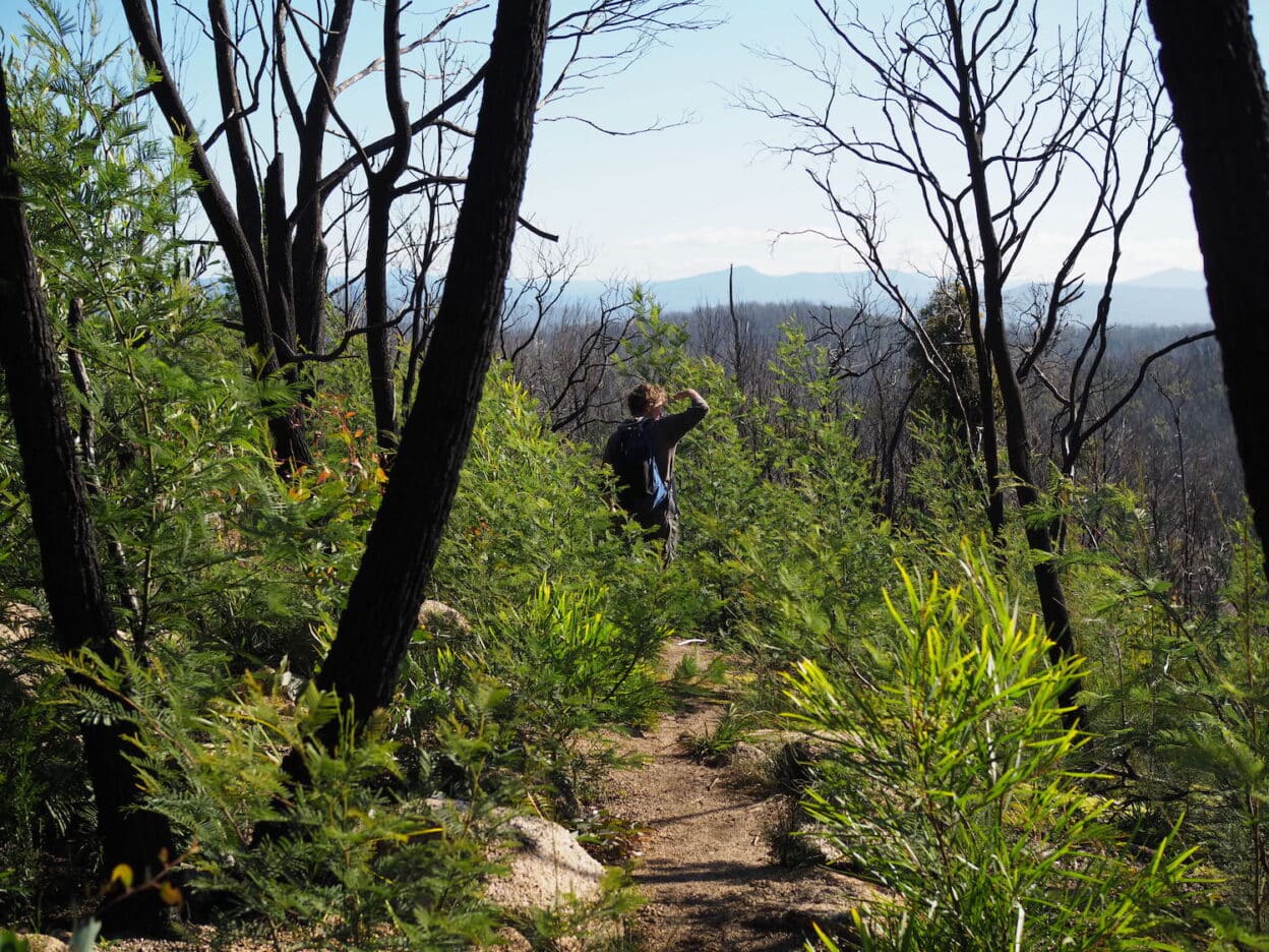 Genoa Peak, Victoria