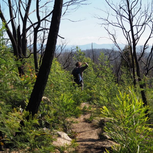 Genoa Peak, Victoria