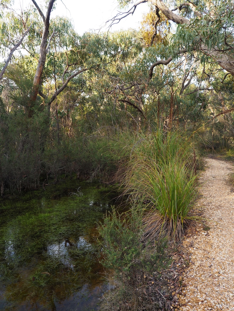 Yan wirring mirr Loop, Victoria