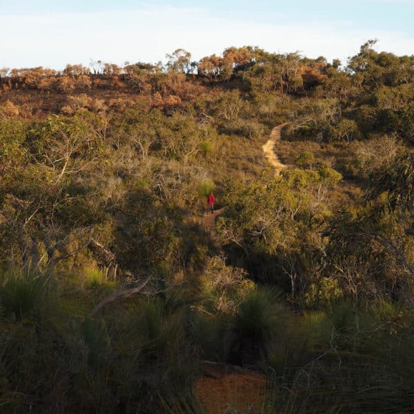 Yan wirring mirr Loop, Victoria