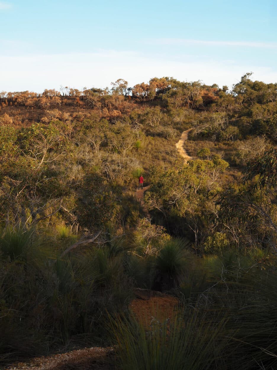 Yan wirring mirr Loop, Victoria