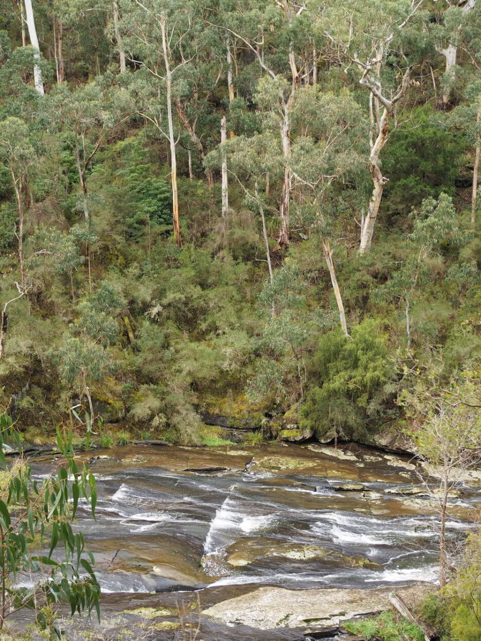 Erskine Falls, Victoria