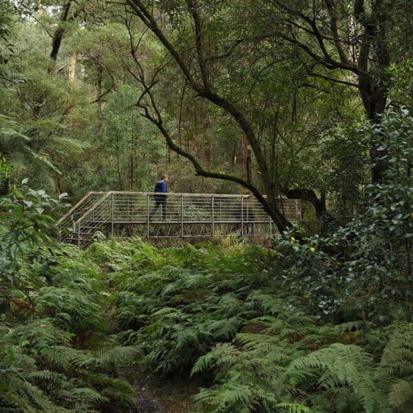 Erskine Falls, Victoria