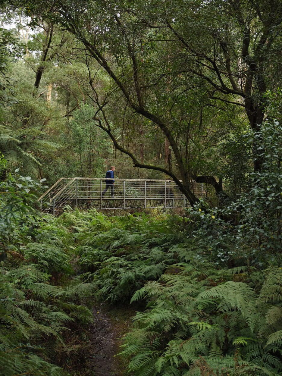 Erskine Falls, Victoria