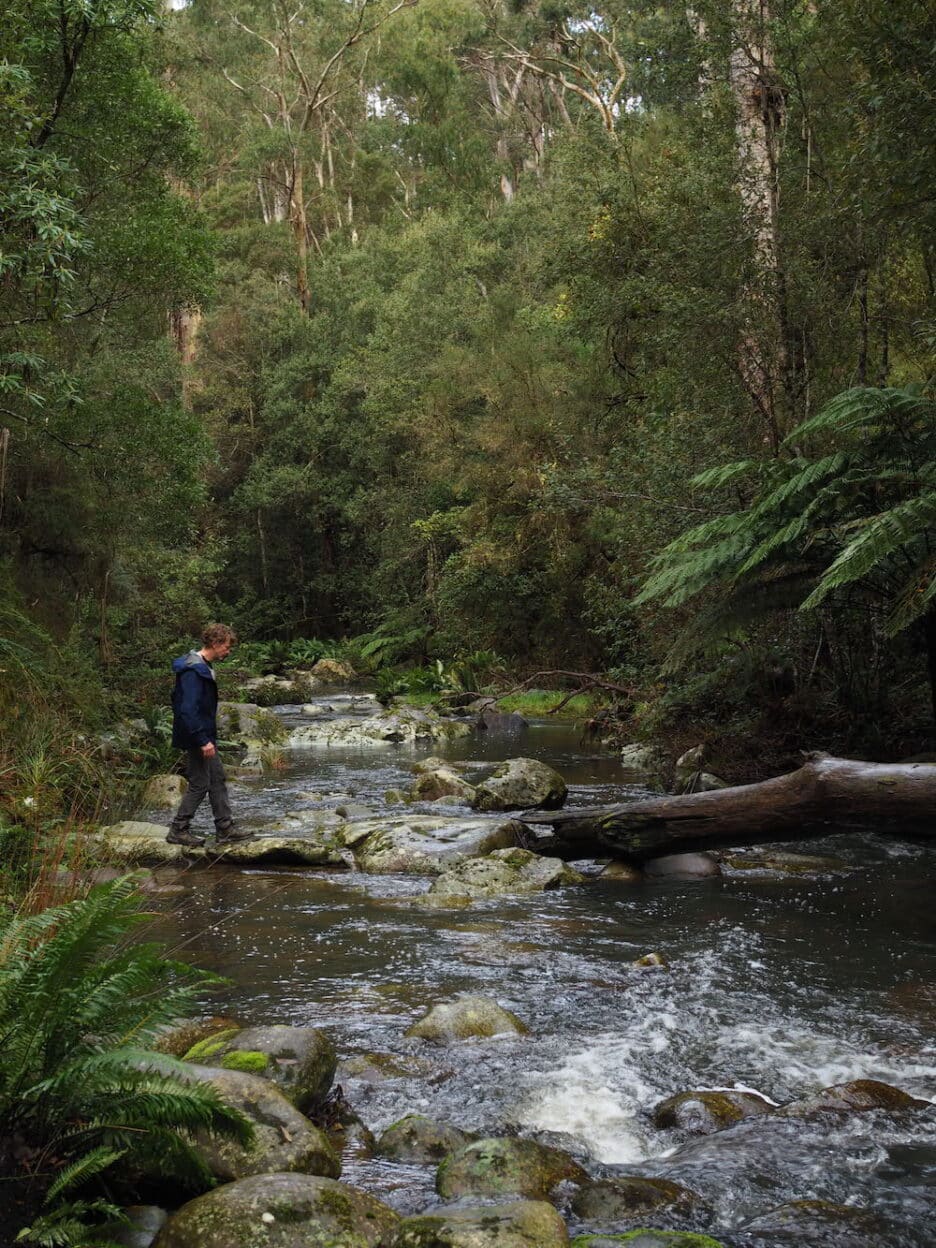 Erskine Falls, Victoria