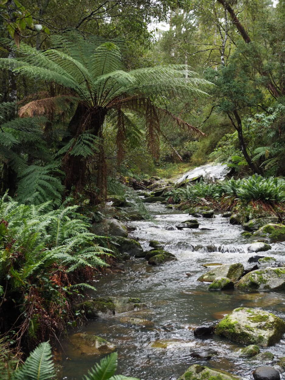 Erskine Falls, Victoria