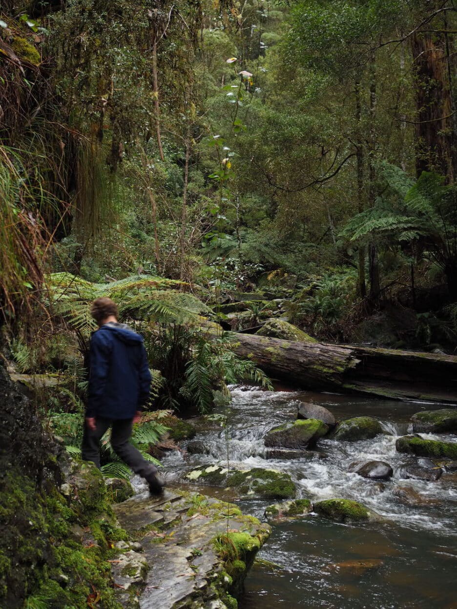 Erskine Falls, Victoria