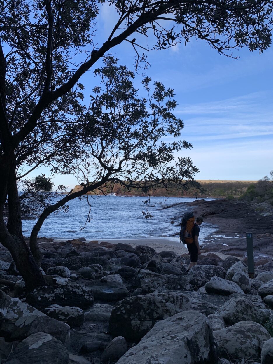 Saltwater Creek to Bittangabee Bay hike, New South Wales