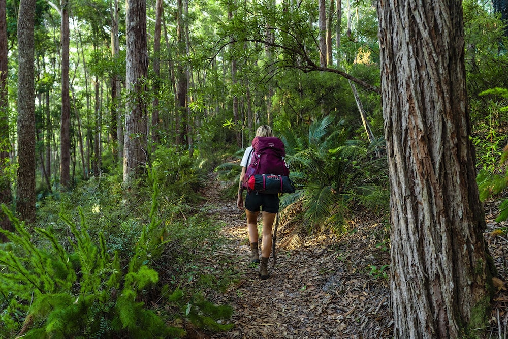 Basin Lake Walk, Queensland