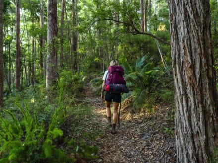 Basin Lake Walk, Queensland