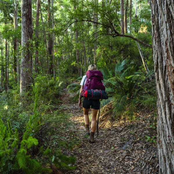 Basin Lake Walk, Queensland