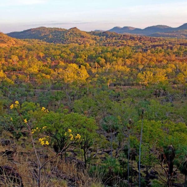 Yurmikmik walks, northern territory