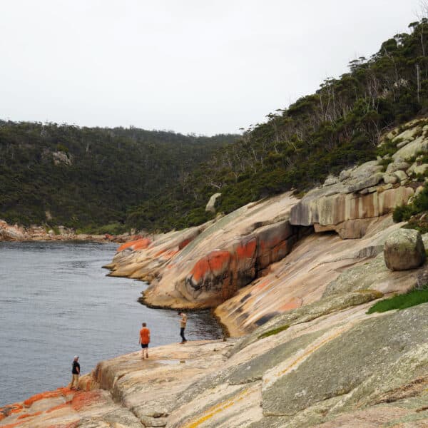 maria island walk