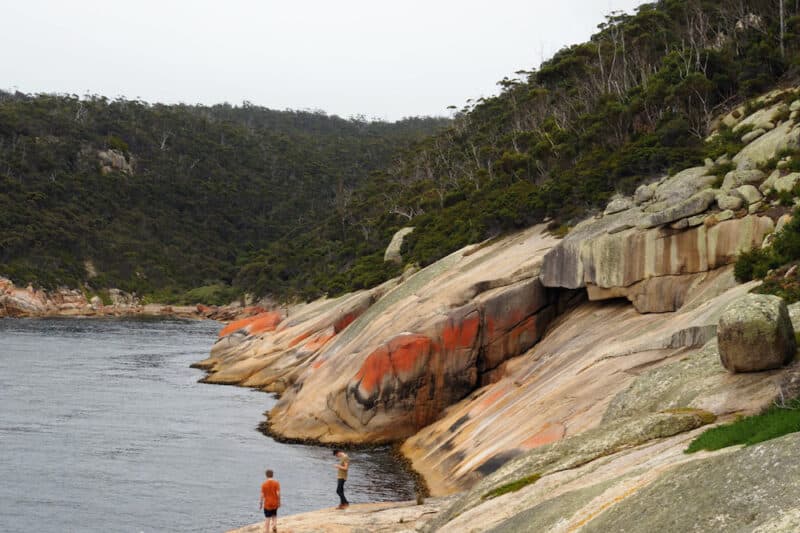 maria island walk