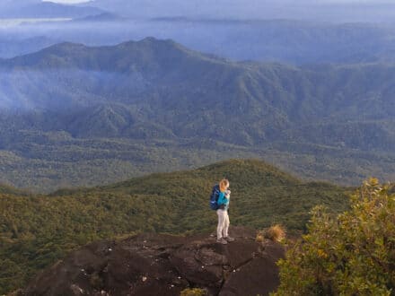 walkers journal mount bartle frere—1