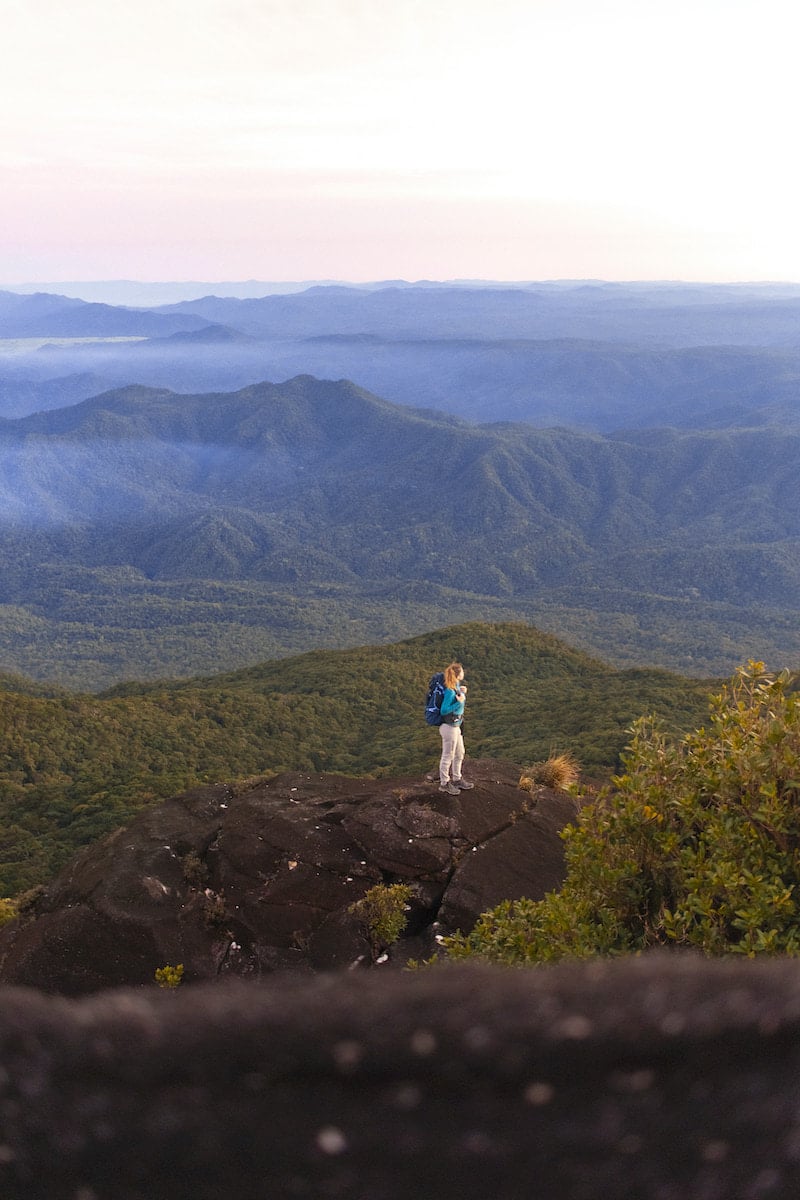 walkers journal mount bartle frere—1