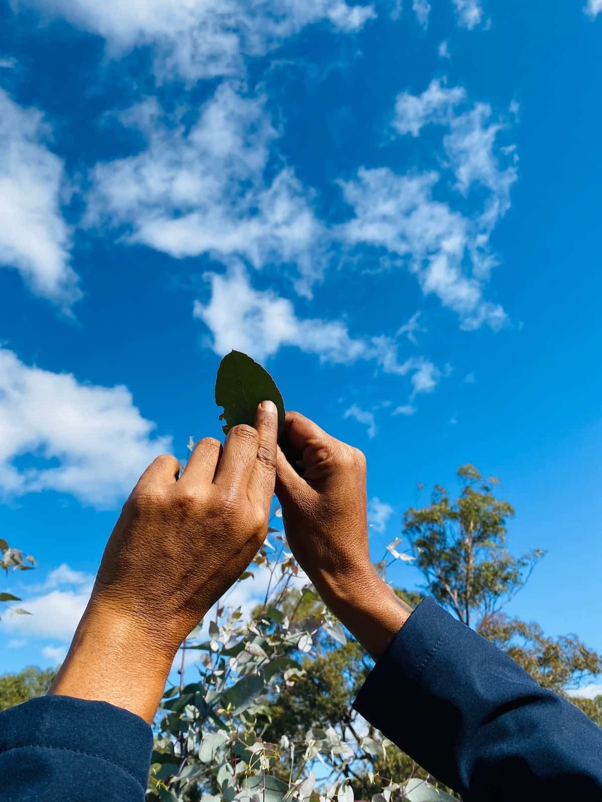 John Douglas Reserve | Photo courtesy of Bush Heritage Australia