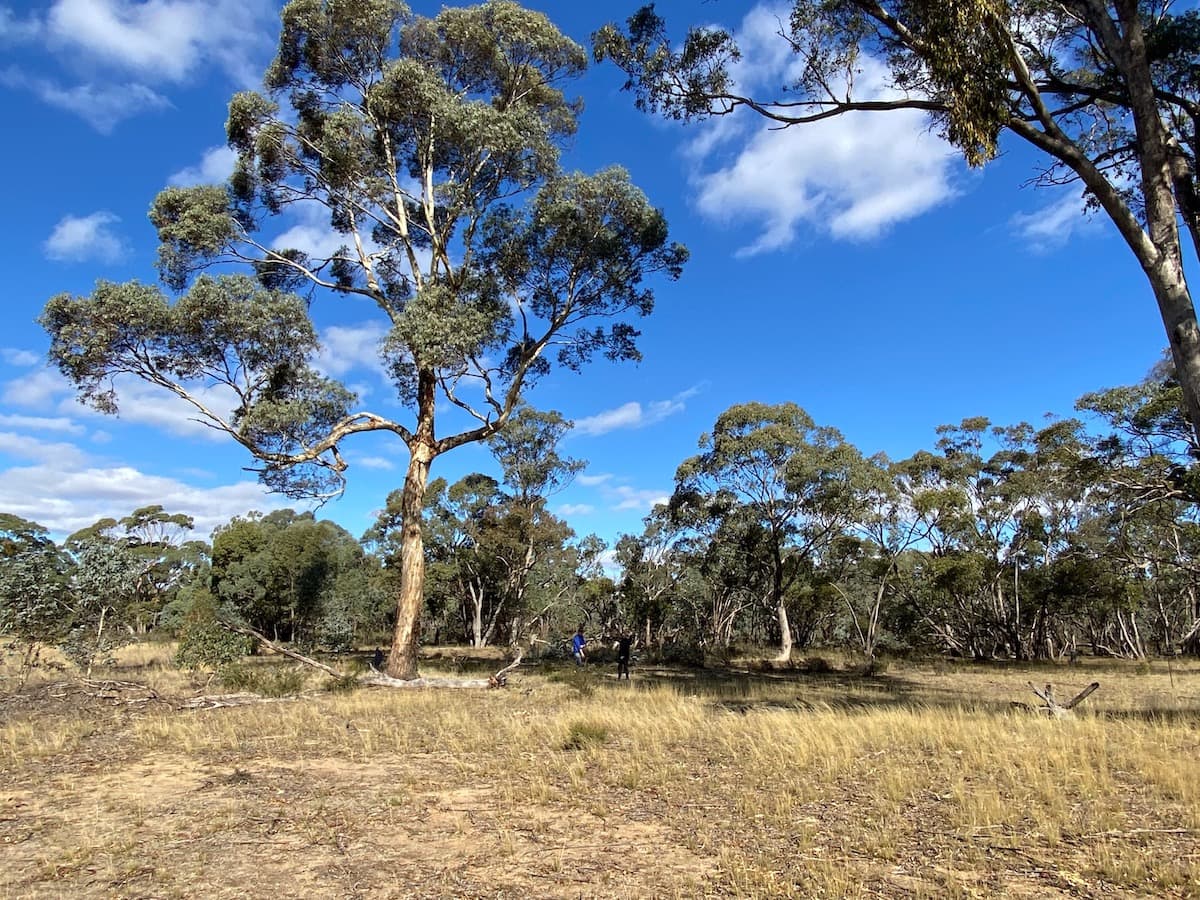 John Douglas Reserve | Photo courtesy of Bush Heritage Australia