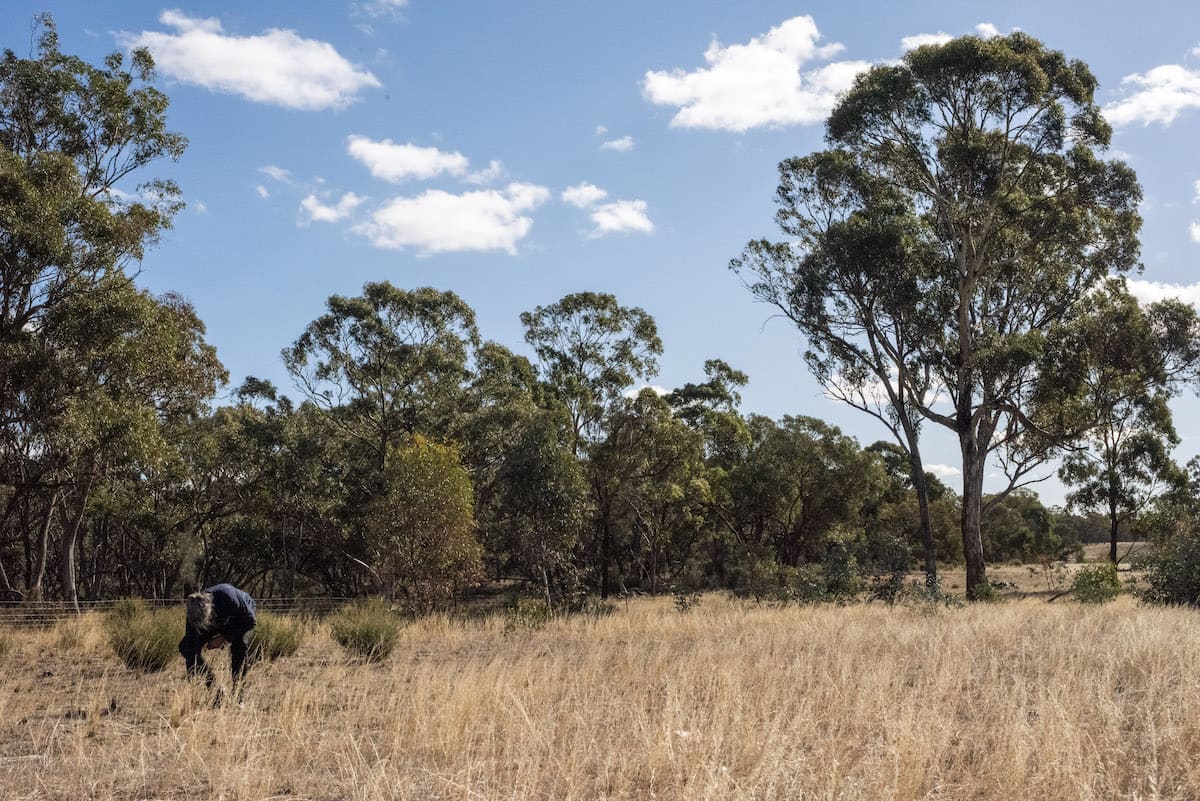 John Douglas Reserve | Photo courtesy of Bush Heritage Australia