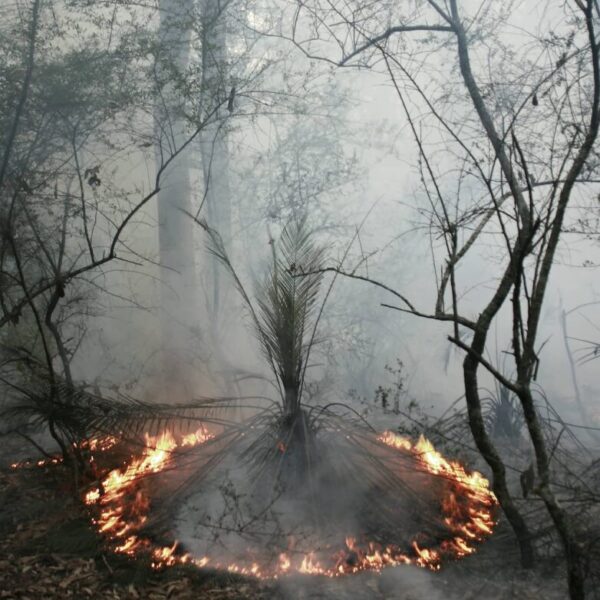 Lucille Martin FIRE Series – Circle Burn, 2018-21. Large-format photograph print on Archival Canson Matte paper. 1189 x 841 mm. Image courtesy of the artist.