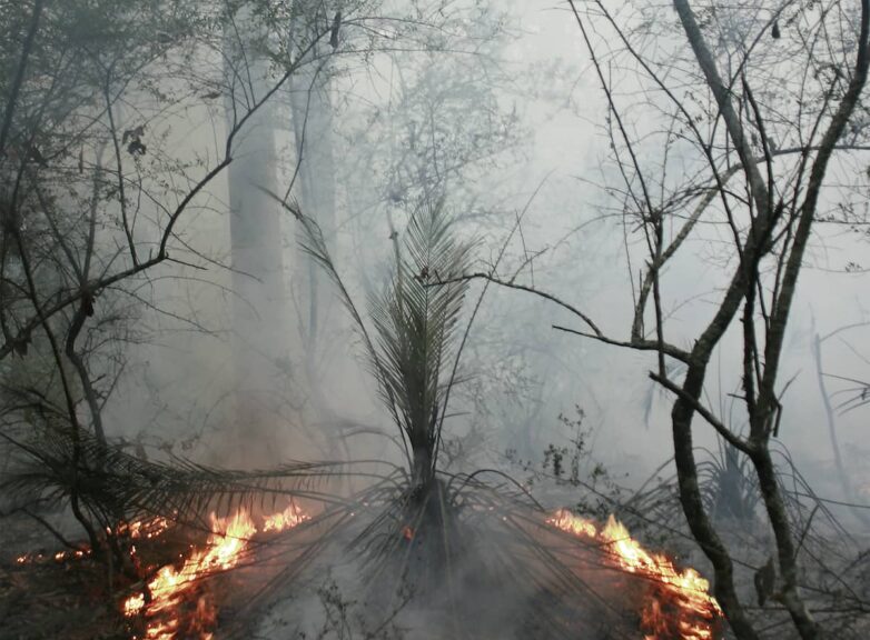 Lucille Martin FIRE Series – Circle Burn, 2018-21. Large-format photograph print on Archival Canson Matte paper. 1189 x 841 mm. Image courtesy of the artist.