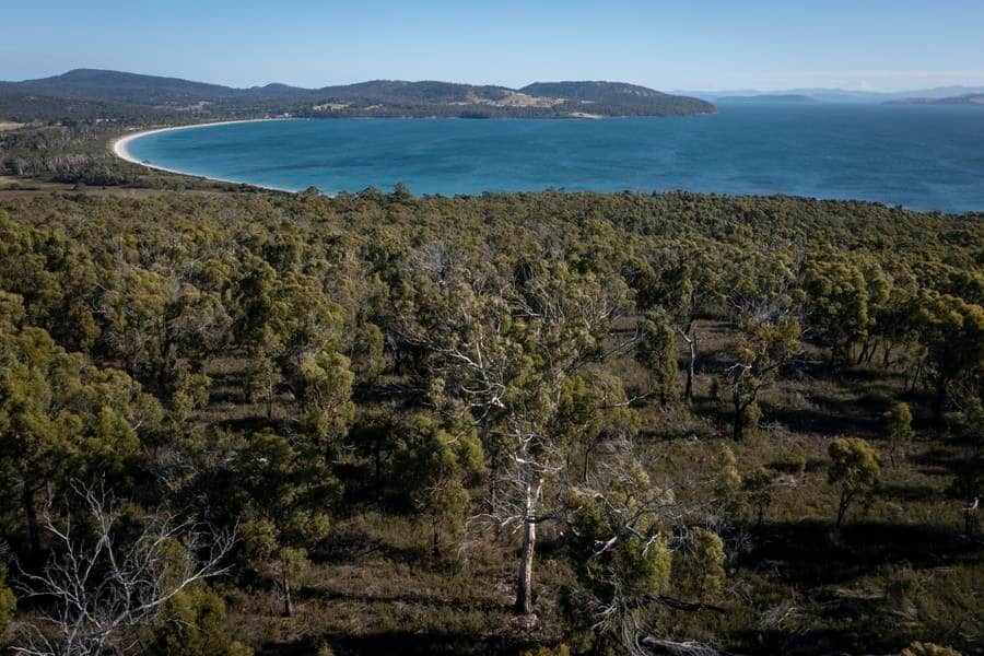Tasmanian Land Conservancy | Photo Eddie Safarik