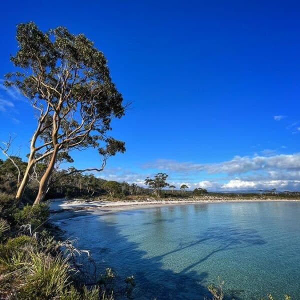 Tasmanian Land Conservancy | Photo James Hattam