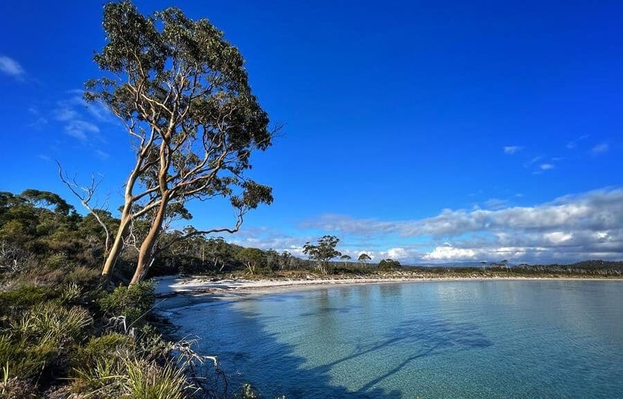 Tasmanian Land Conservancy | Photo James Hattam