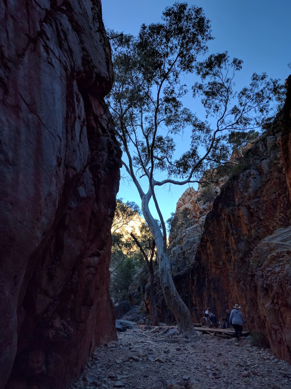 Ghost Gum Larapinta track Claire Gilder