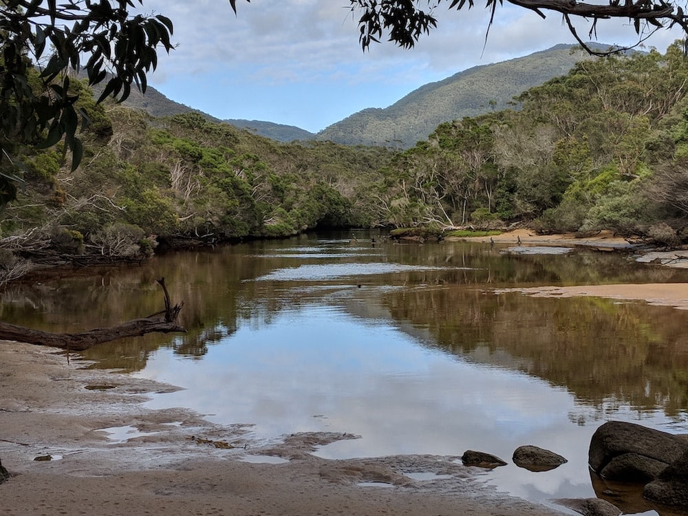 Teatree Wilsons Prom NP Claire Gilder