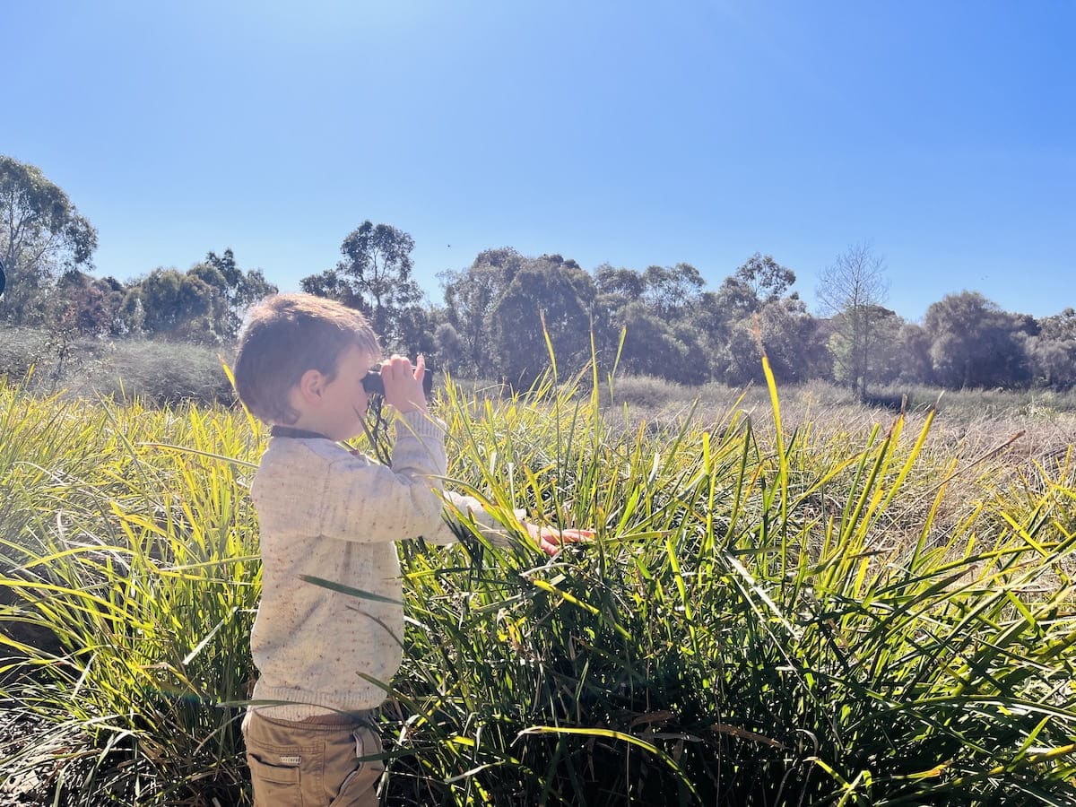 Young birdwatcher with binoculars