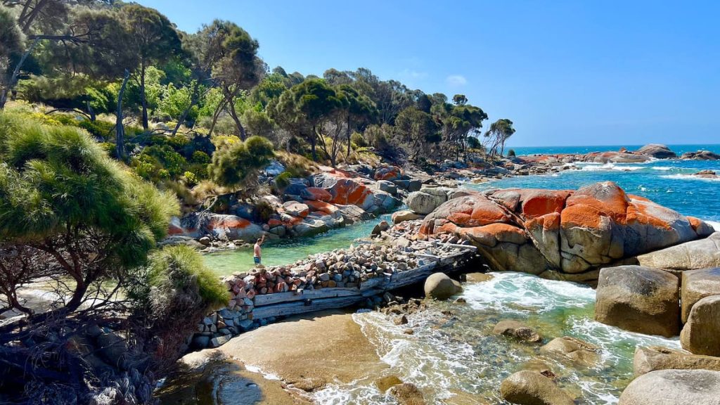 Flinders island Eco Comfort Camp by World Expeditions beach