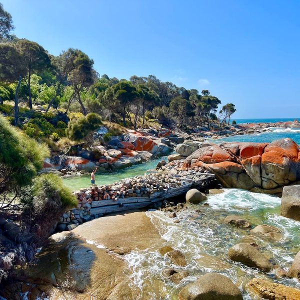 Flinders island Eco Comfort Camp by World Expeditions beach