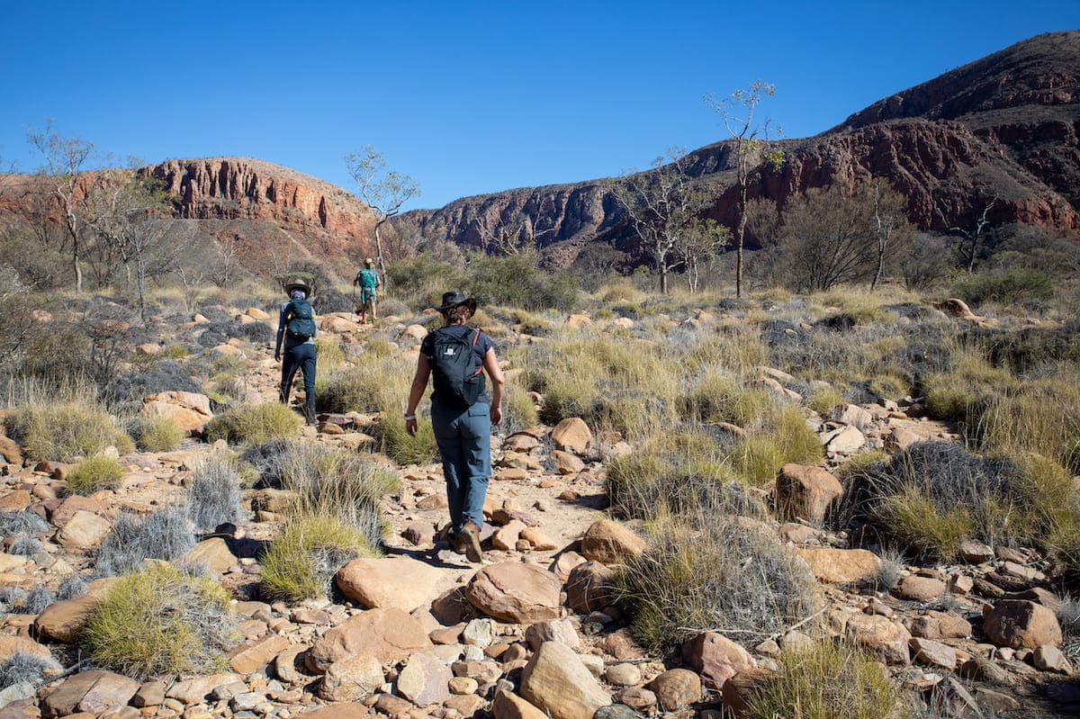 Women hiking the Larapinta Trail with Australian Walking Holidays photography credit Cathy Finch