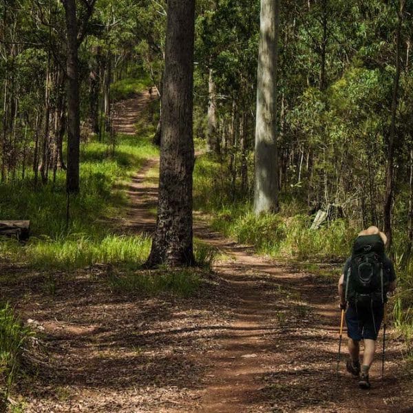 Green Gully track. Photo: Ellie Keft @ellielouhere