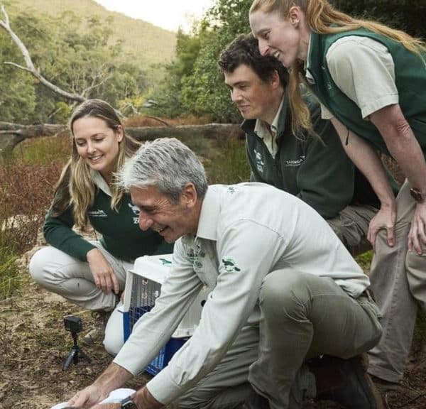 Platypus return to Royal National Park