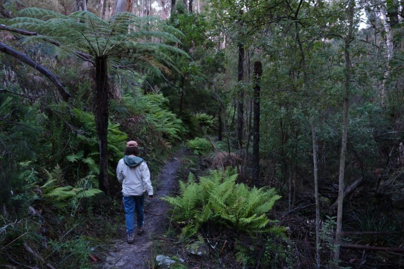 Walkers Journal Walking & Hiking Magazine Australia