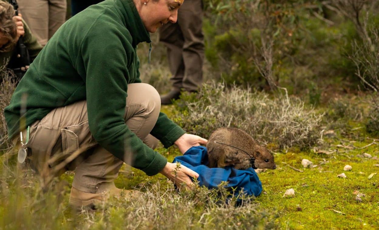 WWF Launch of Walk for Wild fundraiser. Supplied: WWF-Australia.