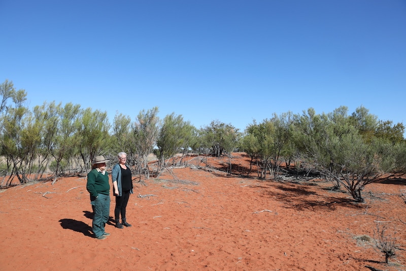 Comeroo station. Melissa Hams (NPWS) with Minister Penny Sharpe