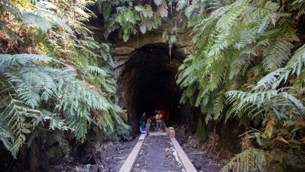 Construction on the Glow Worm Tunnel pathway Credit: Taku Kjelgaard / CloudHerd Commercial