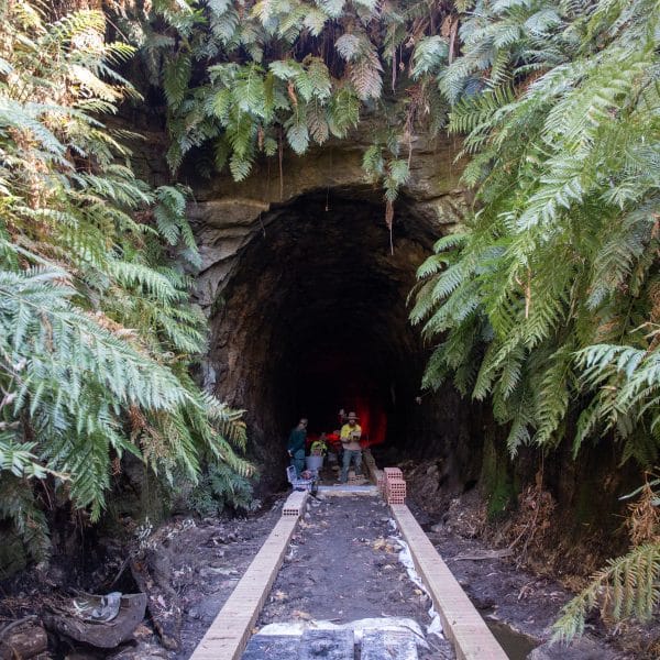 Construction on the Glow Worm Tunnel pathway Credit: Taku Kjelgaard / CloudHerd Commercial