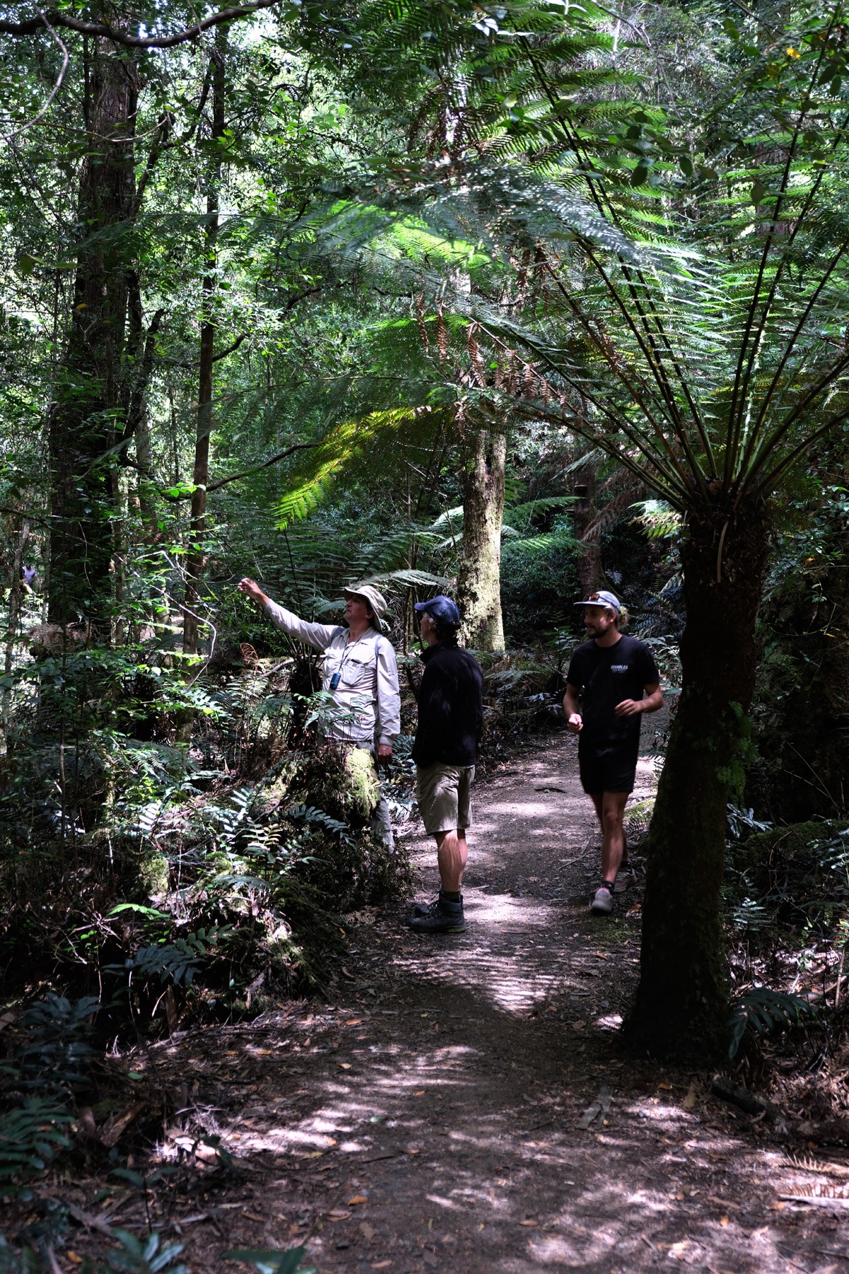 bruny-island-tasmania-walkers-journal