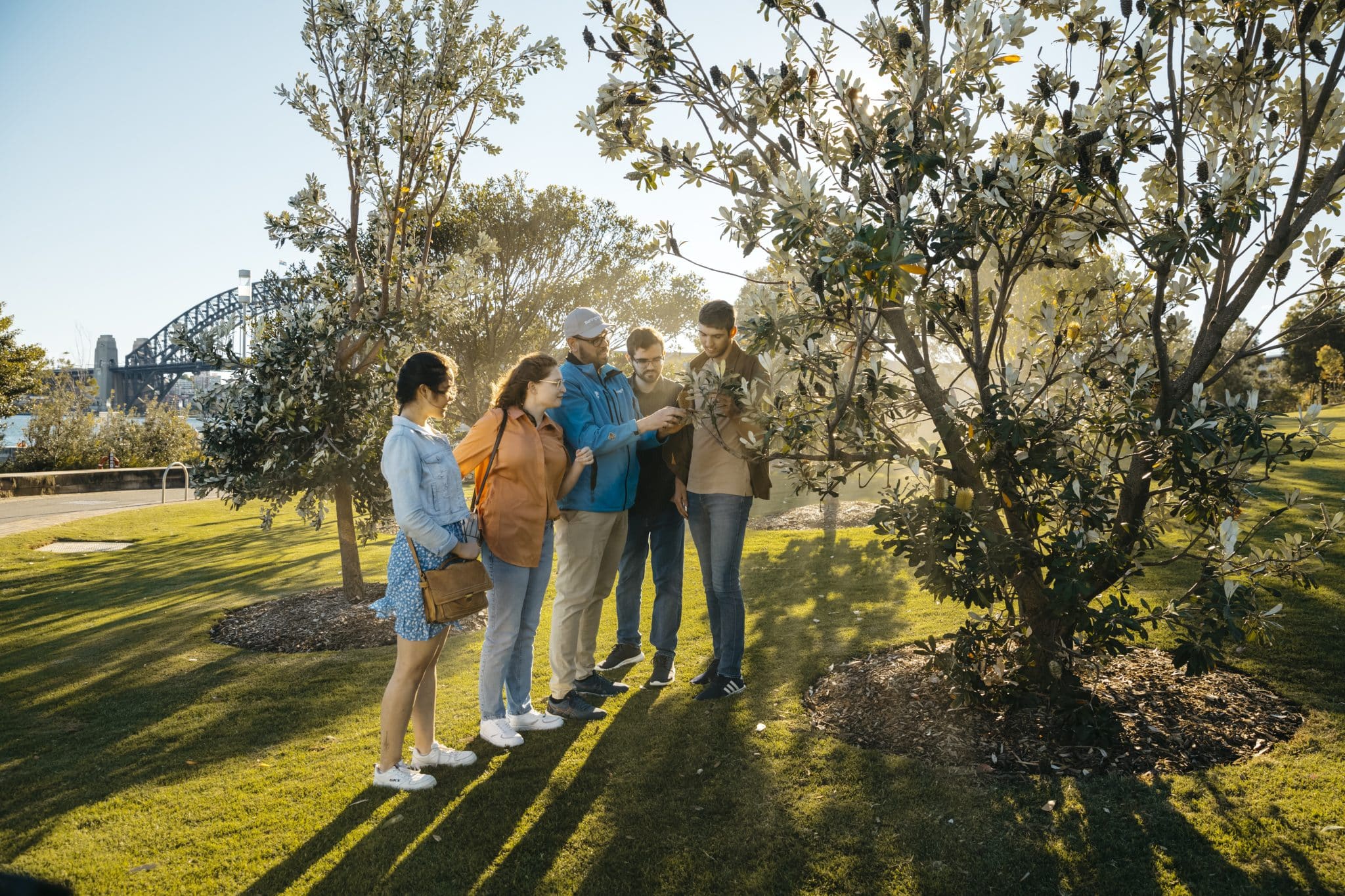 Connect to Aboriginal Culture in Sydney With These Activities | Walkers ...