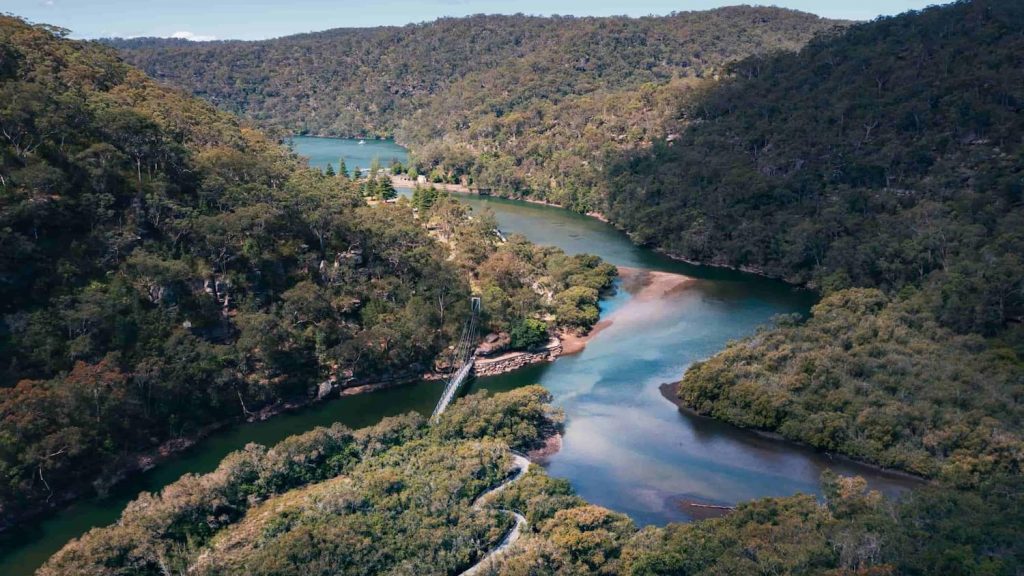 Mangrove Boardwalk, Ku-ring-gai Chinese National Park. Photo credits: Destination NSW