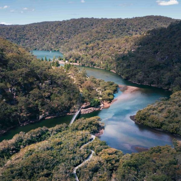 Mangrove Boardwalk, Ku-ring-gai Chinese National Park. Photo credits: Destination NSW