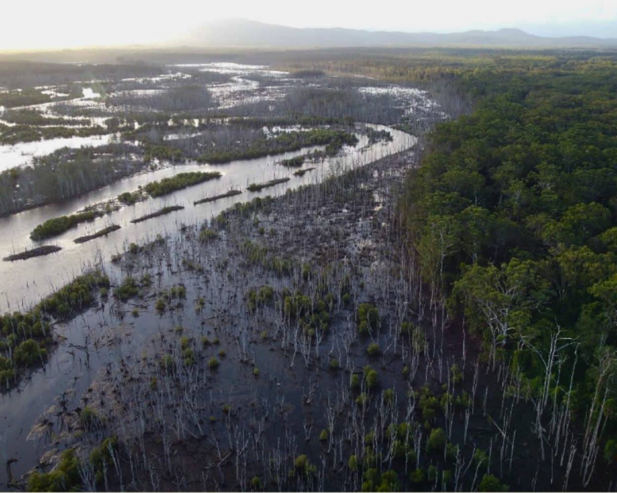 Clybucca and Yarrahapinni Wetlands on the Macleay
