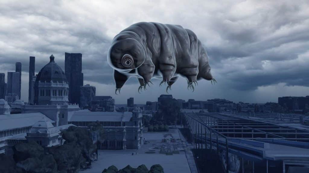 SLOW WALKER - Peder Bjurman