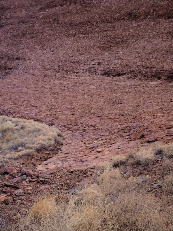 Walpa Gorge Walk, Northern Territory - Walkers Journal.